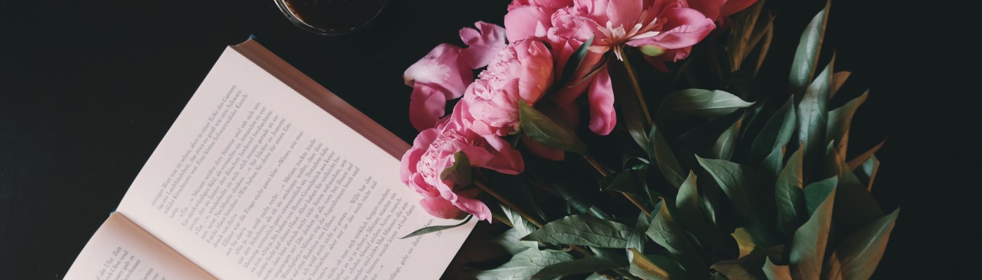 erin thornewood books