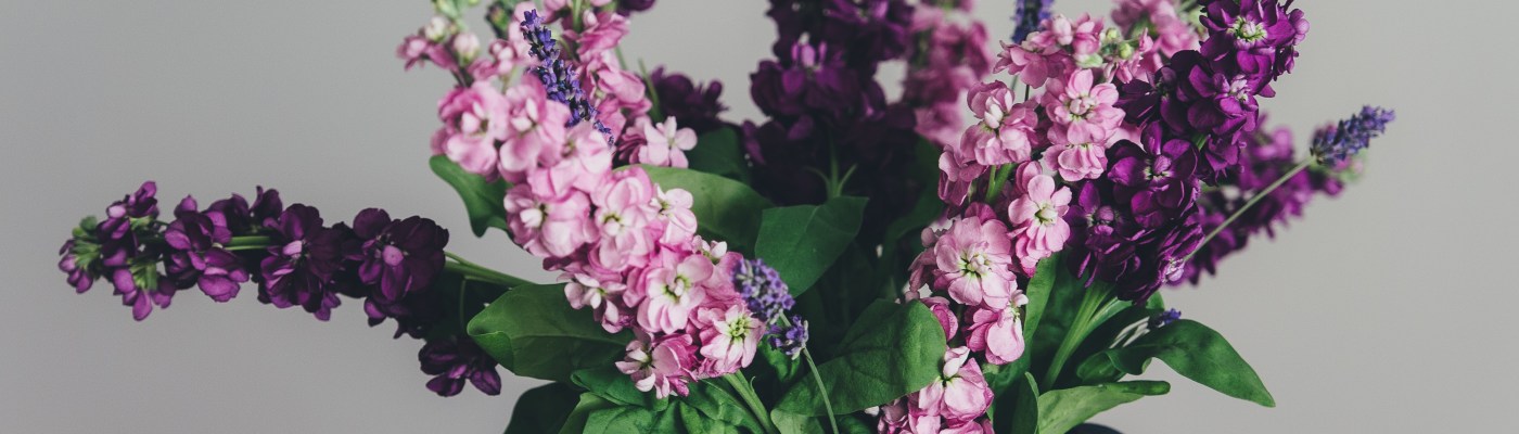 photo by Annie Spratt